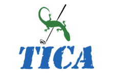  TICA